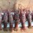 Exmouth Cockroaches